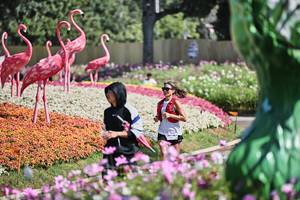 BIB: 
                            <button type="button" onclick="openModal(27793563)" class="btn btn-primary btn-sm float-right btn-popup" data-toggle="modal" data-target=".modal-high-quality">
                        <i class="fas fa-shopping-cart"></i> Add to Cart
                    </button>
                                            <button type="button" onclick="isThisMe(27793563, true)" class="btn btn-success btn-sm float-right btn-popup btn-isme hidden" data-toggle="tooltip" data-placement="bottom" title="นี่คือรูปของคุณใช่ไหม คลิกที่นี่เพื่อเอาเข้าอัลบั้ม">
                        <i class="fas fa-plus"></i> Add to album
                    </button>
                    <button type="button" onclick="isThisMe(27793563, false)" class="btn btn-warning btn-sm float-right btn-popup btn-isnotme hidden">
                        <i class="fas fa-ban"></i> Remove from album
                    </button>